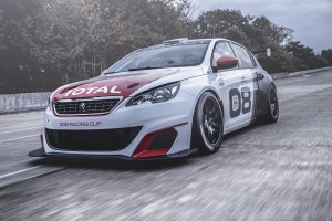 PEUGEOT 308 CUP CRIADO PARA COMPETIR FOTO